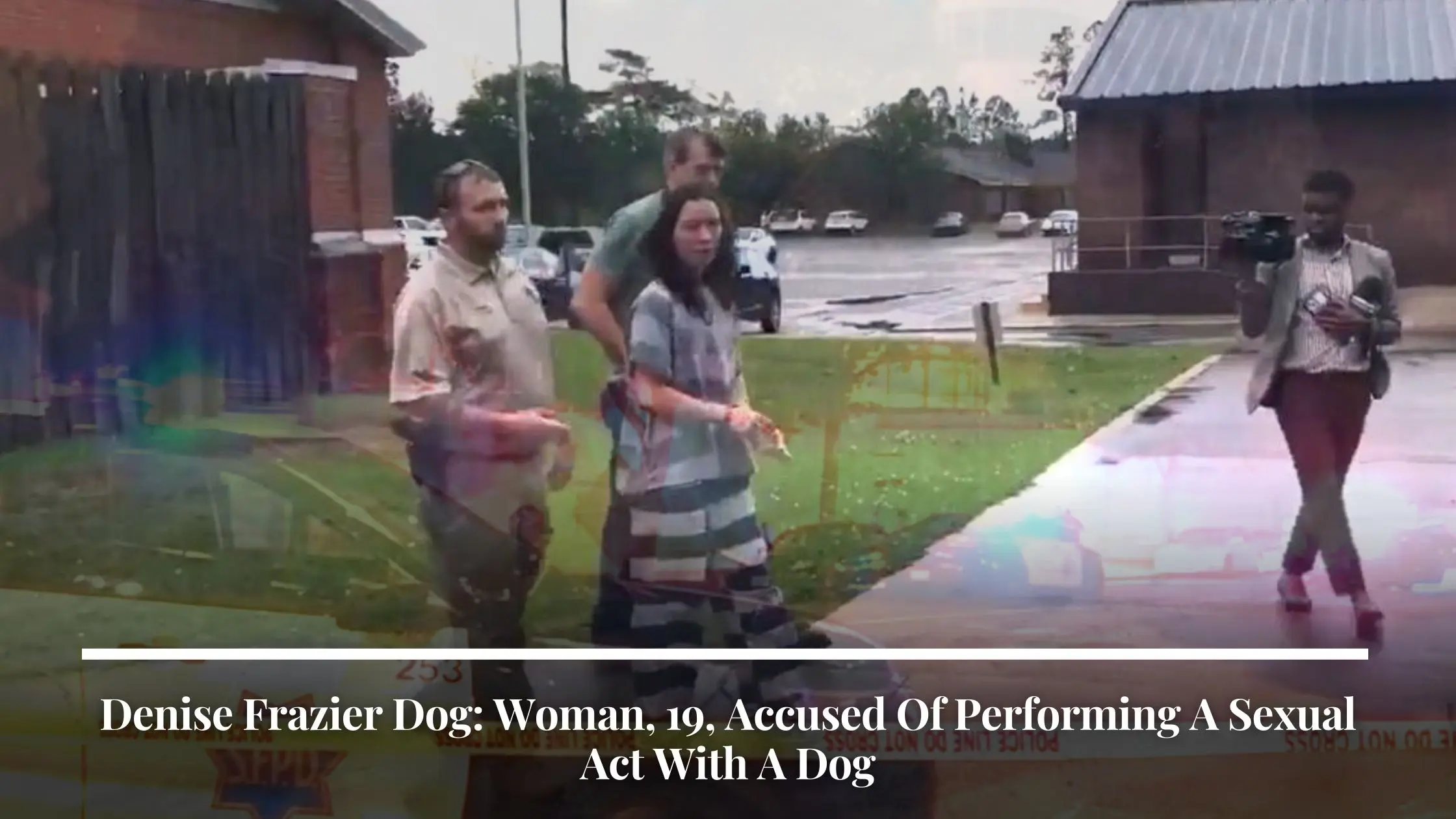 Denise Frazier Dog Woman, 19, Accused Of Performing A Sexual Act With A Dog