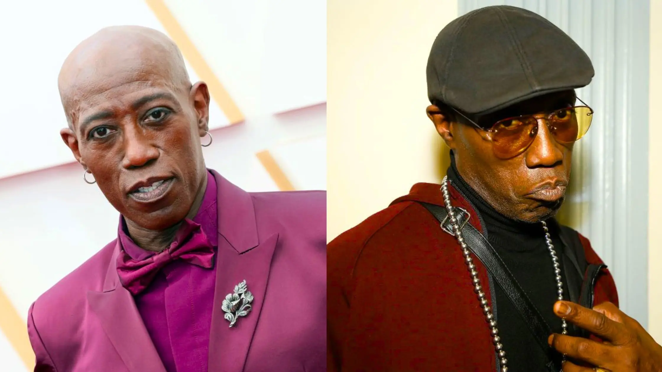 Is Wesley Snipes Gay? Has He Ever Revealed His Sexuality?