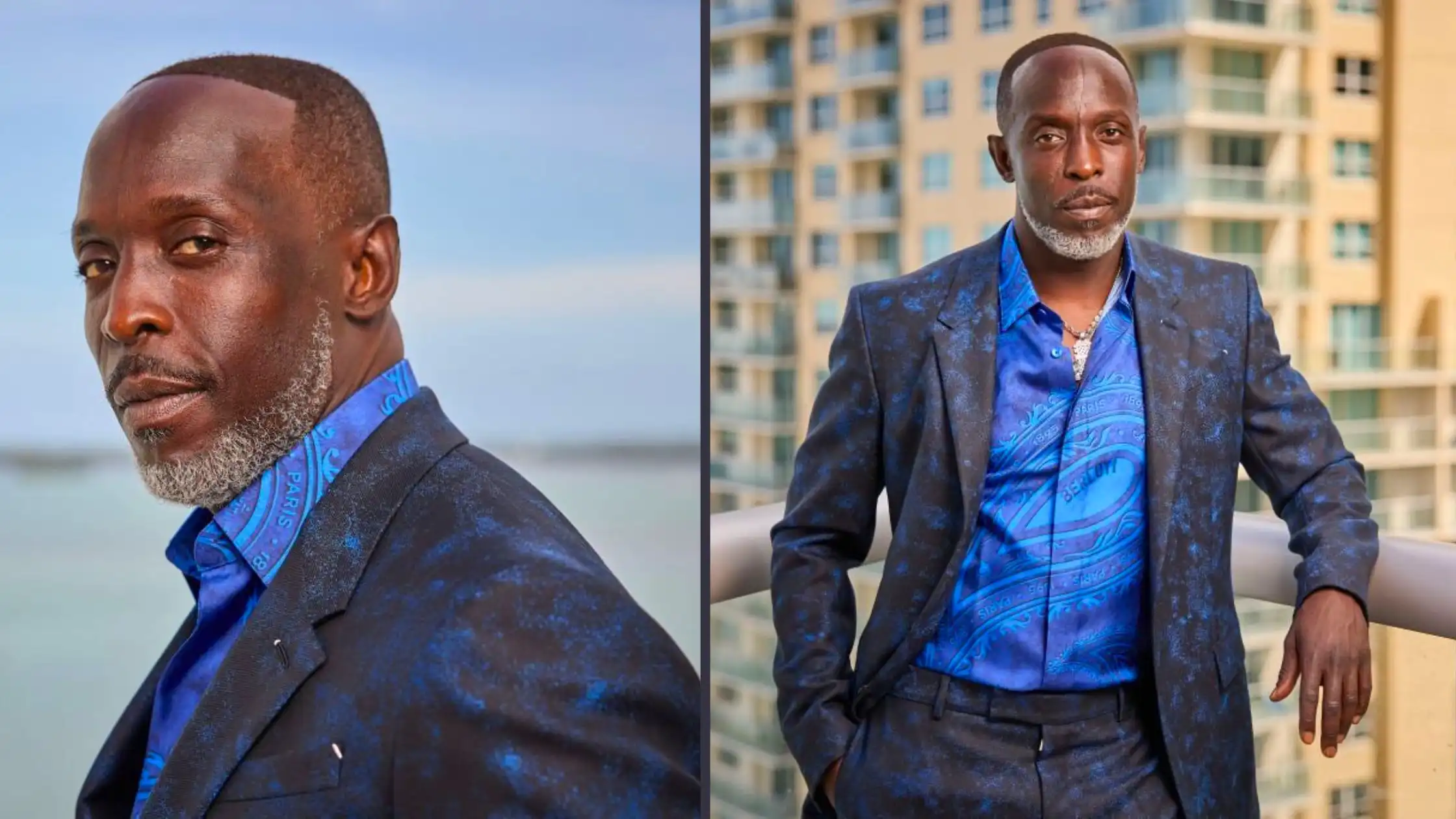 Michael K Williams Net Worth