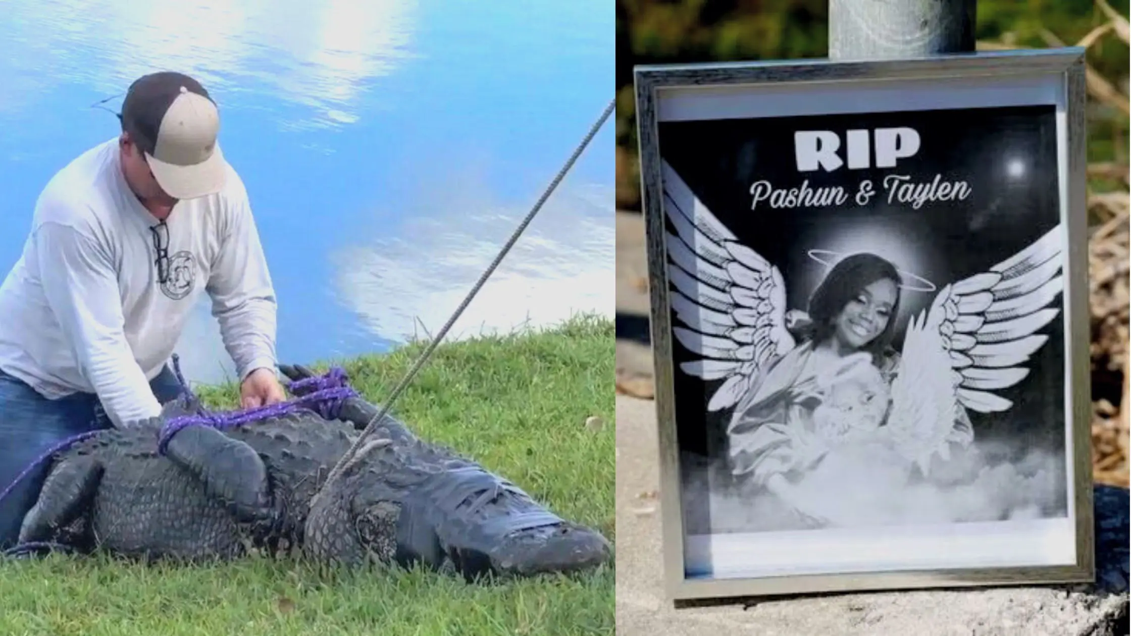 Missing Toddler Body Found Inside Alligator Mouth
