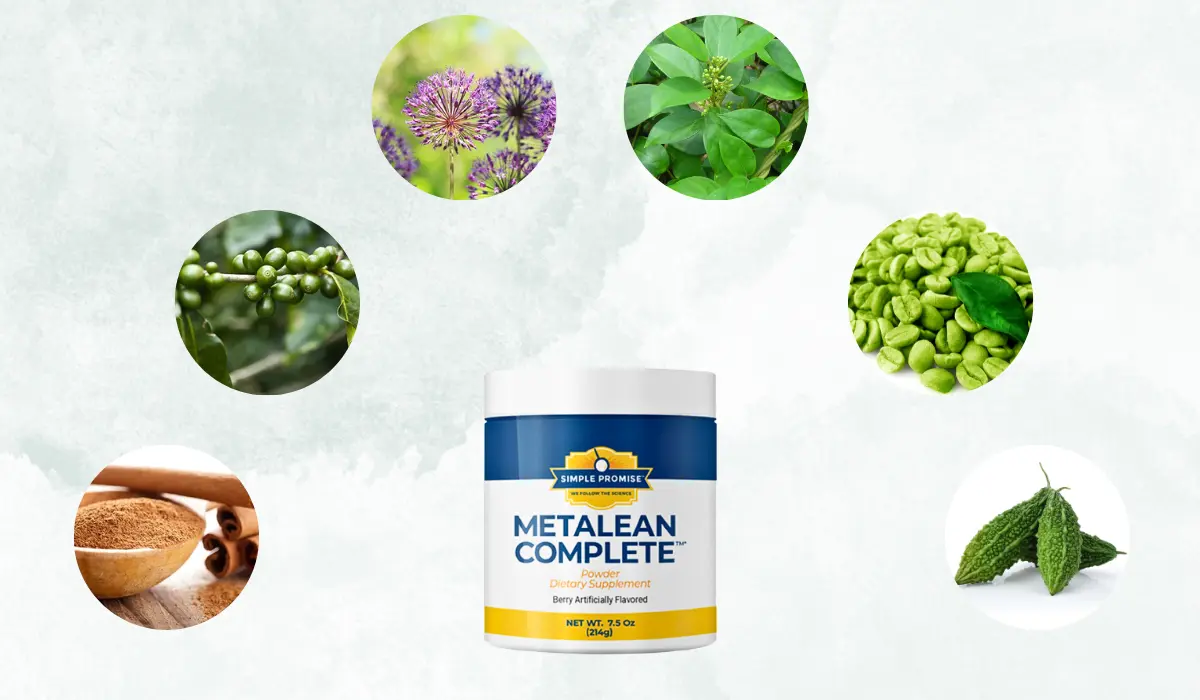 MetaLean Complete Ingredients
