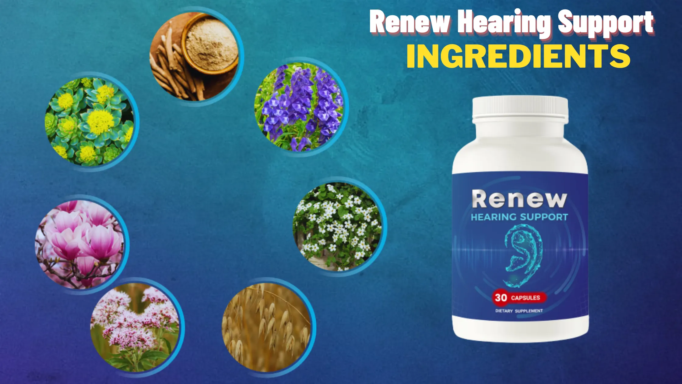 Renew Hearing Support Ingredients
