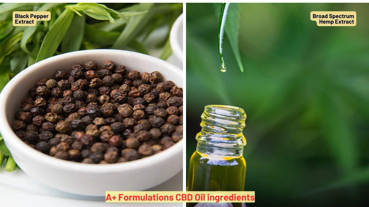 A Plus Formulations CBD Oil Ingredients