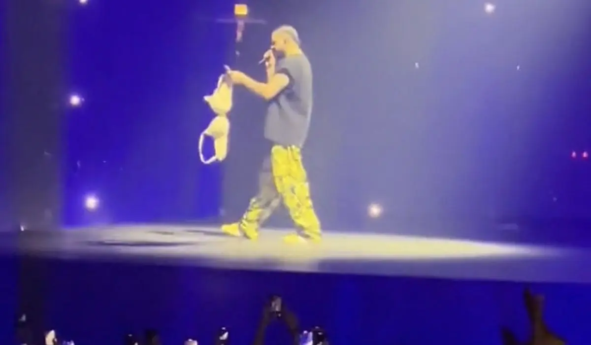 Fans throw bras at Drake during a concert