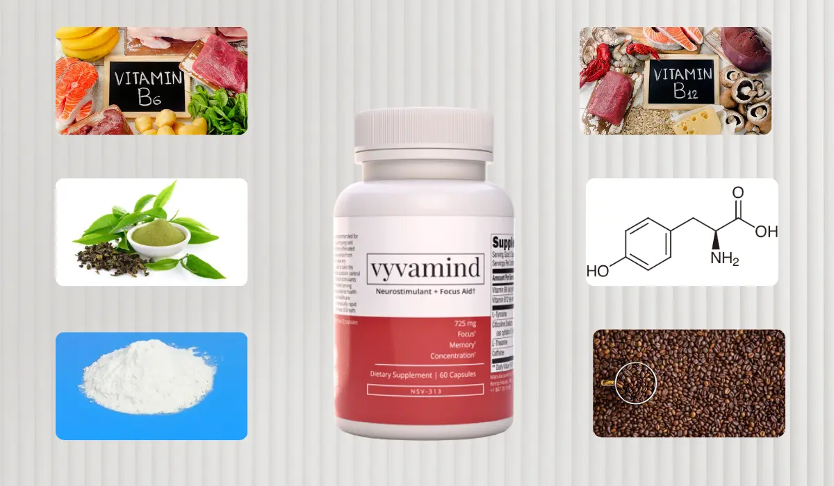 Vyvamind Ingredients