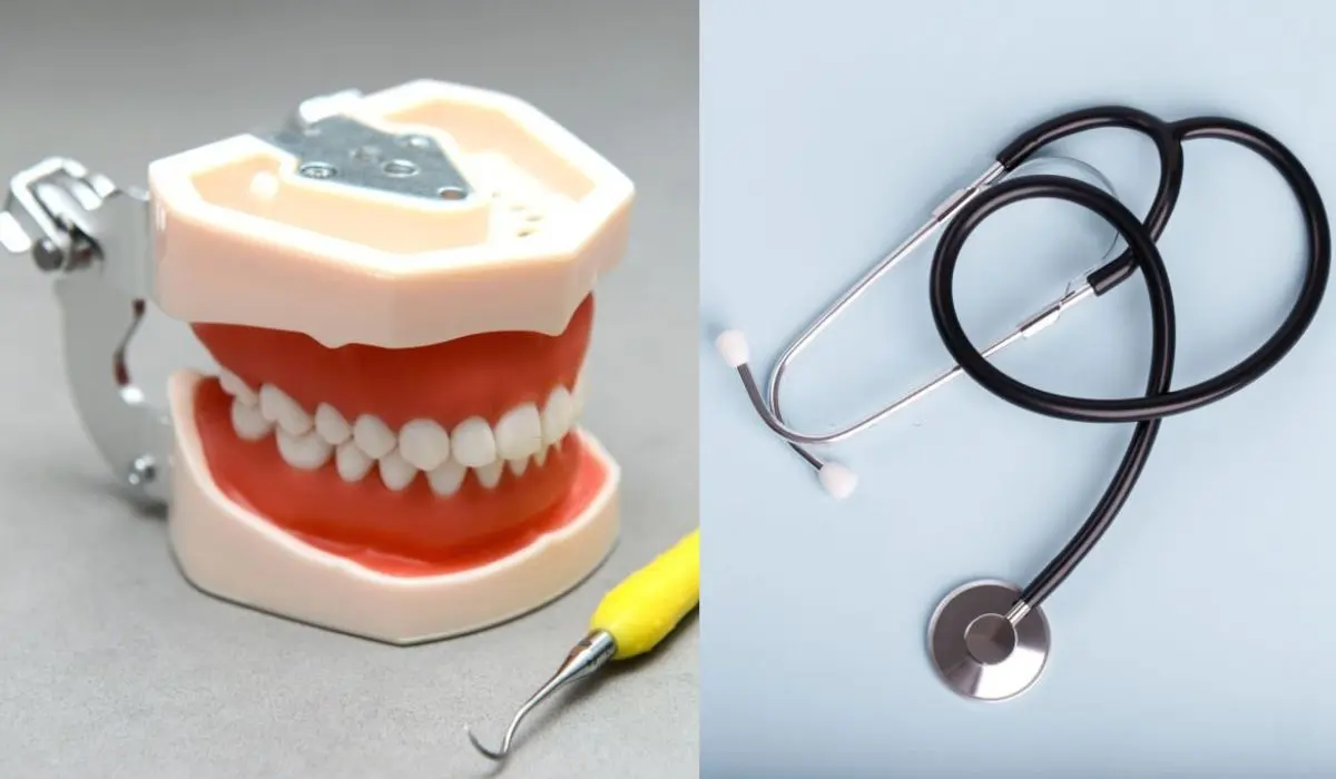 What Gum Disease Can Mean for Your Overall Health
