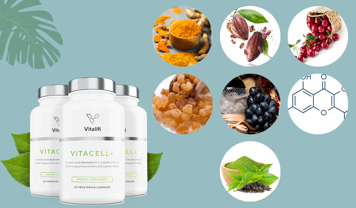 VitaCell Plus Ingredients